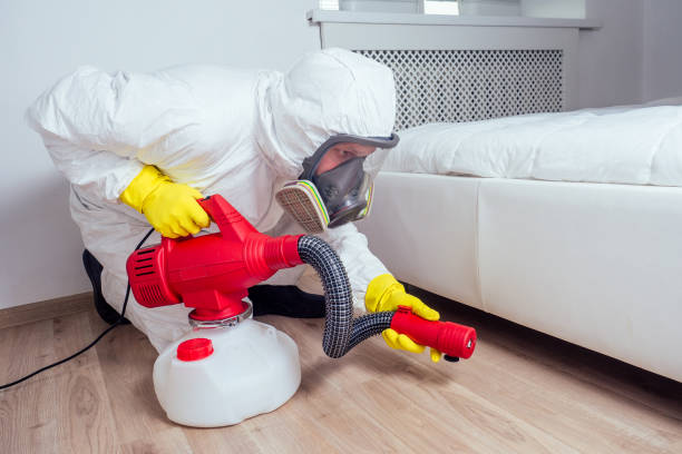 Best Exterminator Services  in Glendale, CA